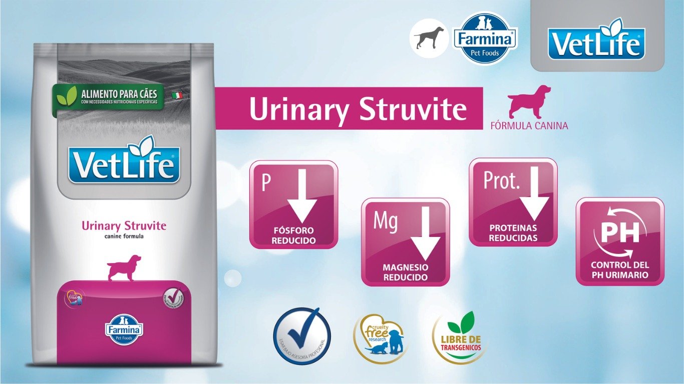 VET LIFE CANINE PERRO URINARY STRUVITE 1 WhatsApp Image 2023 07 15 at 12.03.14 PM