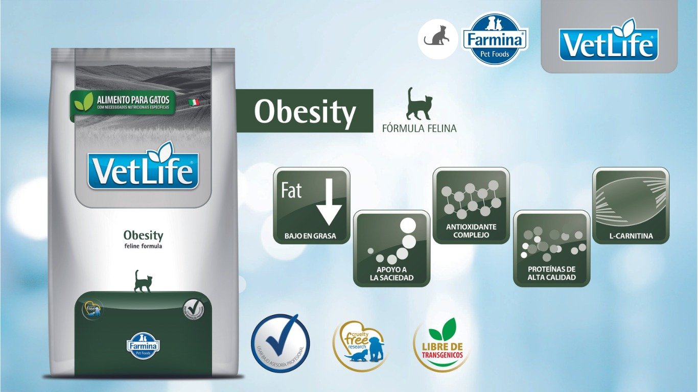 VET LIFE FELINE OBESITY 1 WhatsApp Image 2023 07 15 at 12.16.13 PM