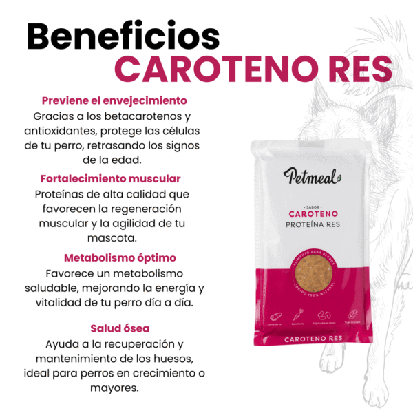 Dieta natural para perro res caroteno 500g 