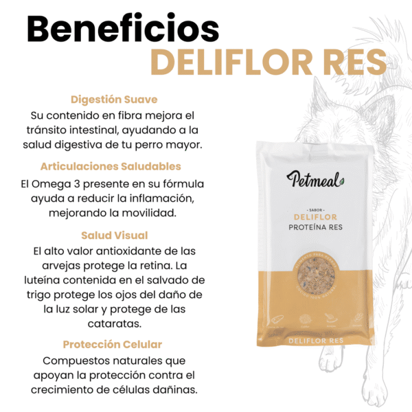 alimento cocido para perro
