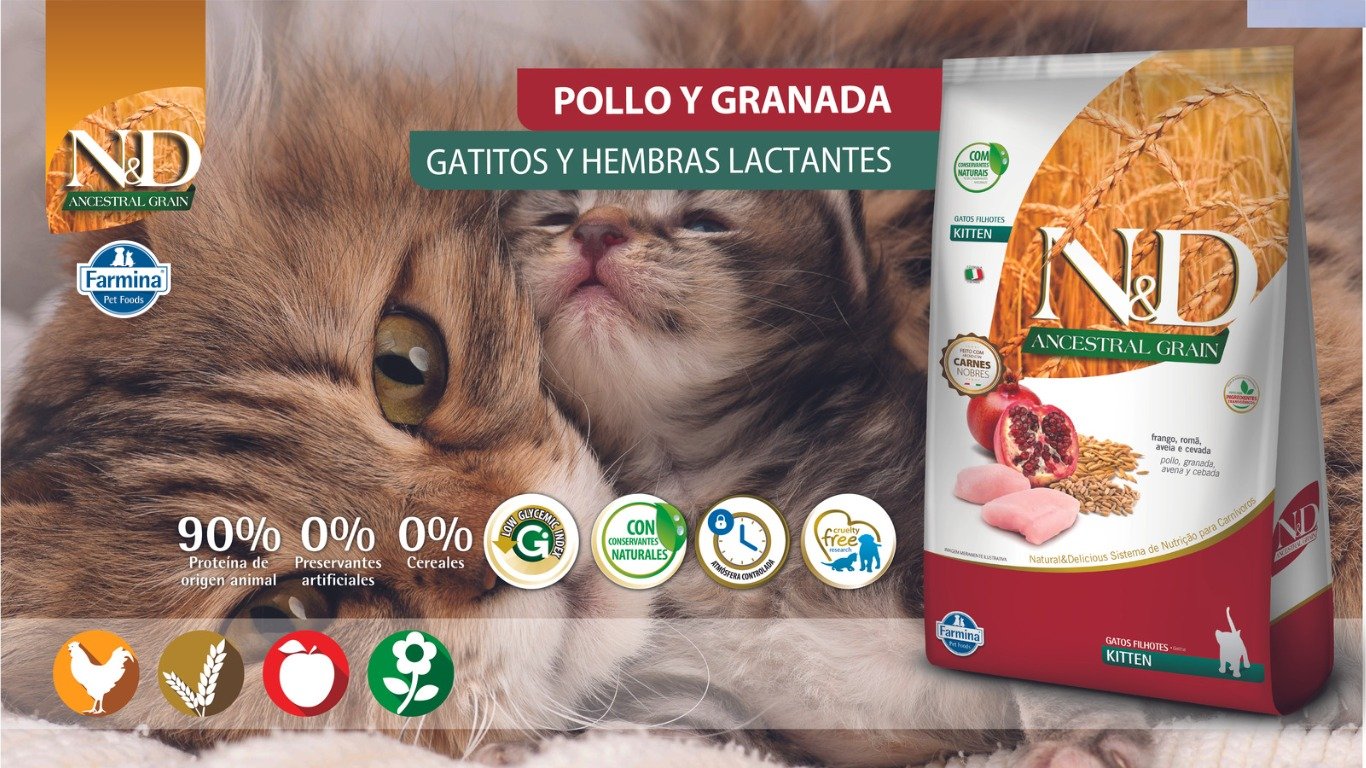 N&D ANCESTRAL FELINE KITTEN POLLO 1 WhatsApp Image 2023 07 14 at 1.18.52 PM