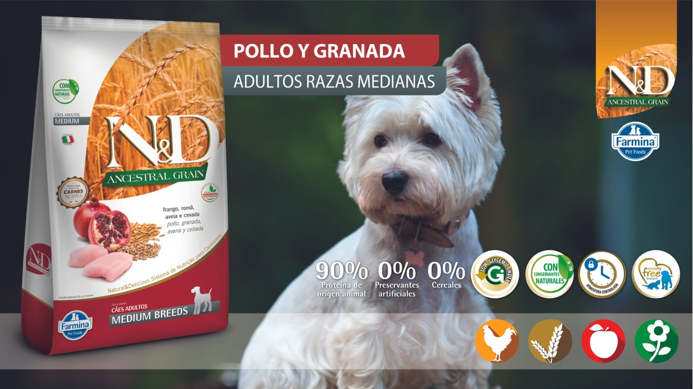 N&D ANCESTRAL PERRO POLLO ADULTO MEDIANO 2 WhatsApp Image 2023 07 14 at 12.07.22 PM