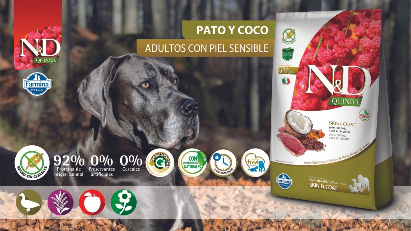N&D QUINOA PERRO ADULTO SKIN PATO 25 KG 1 WhatsApp Image 2023 07 14 at 4.51.27 PM