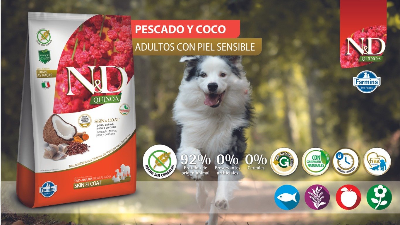 N&D QUINOA PERRO ADULTO SKIN PEIXE 25 KG 1 WhatsApp Image 2023 07 14 at 4.56.28 PM