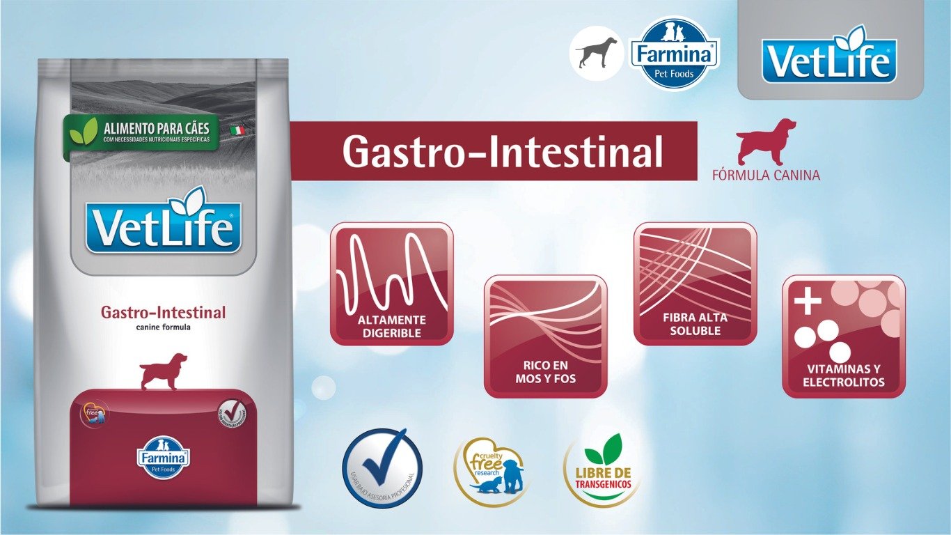 VET LIFE CANINE PERRO GASTRO INTESTINAL 1 WhatsApp Image 2023 07 14 at 5.05.44 PM