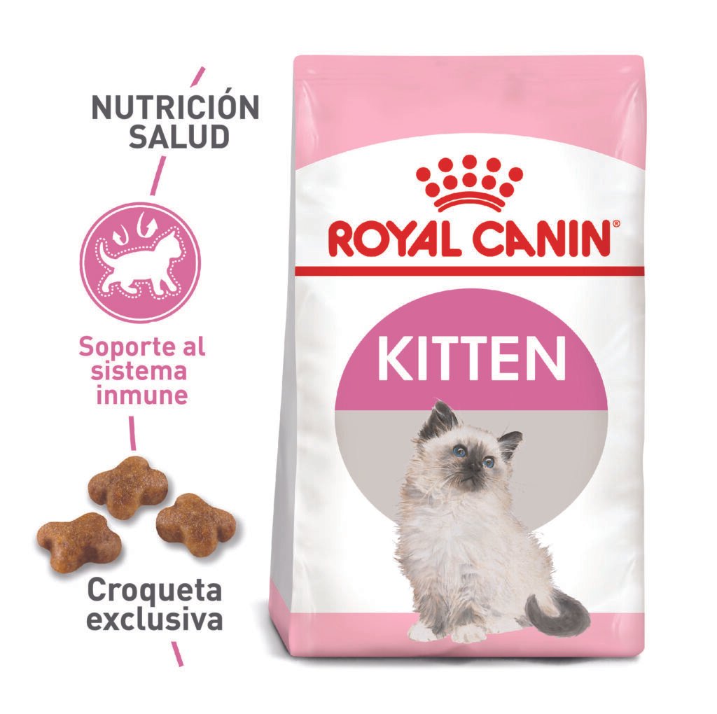 ROYAL CANIN GATO KITTEN