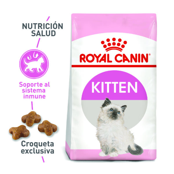 ROYAL CANIN GATO KITTEN