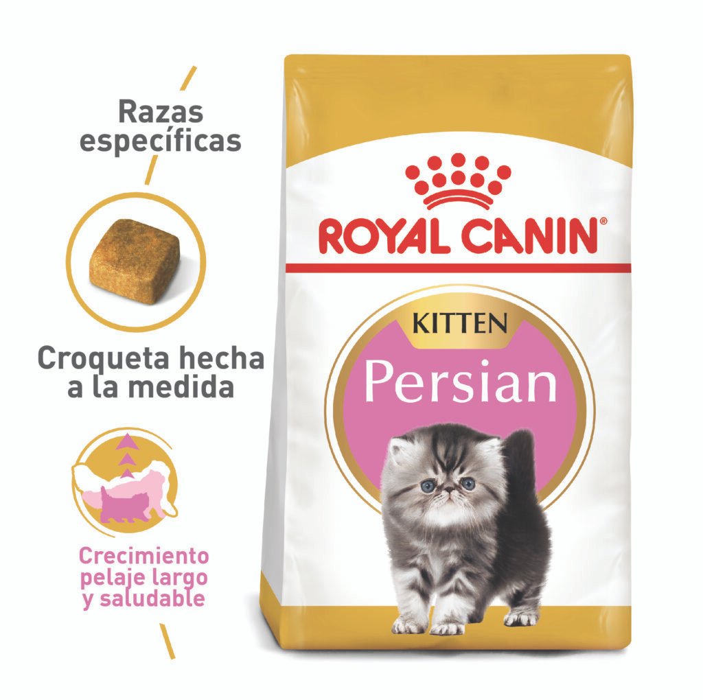 ROYAL CANIN GATO PERSIAN KITTEN 2 KG