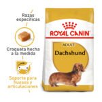 ROYAL CANIN DACHSHUND ADULTO 1.5KG