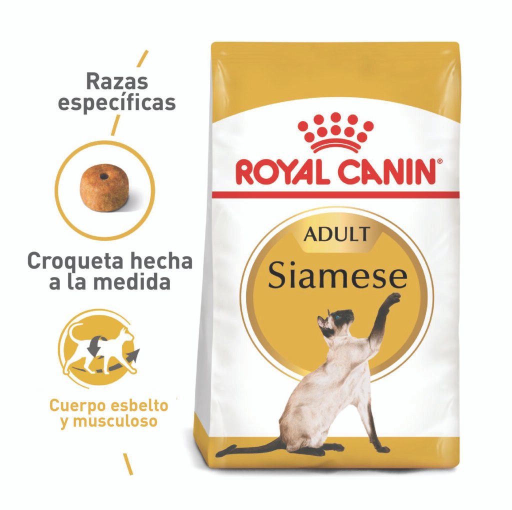 ROYAL CANIN GATO SIAMES ADULTO 2 KG