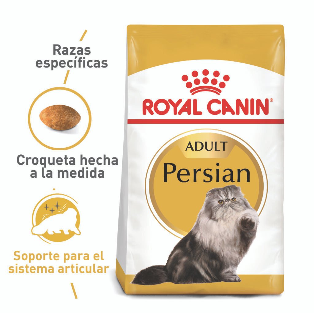 ROYAL CANIN GATO PERSIAN ADULTO