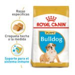 ROYAL CANIN BULLDOG INGLES CACHORRO