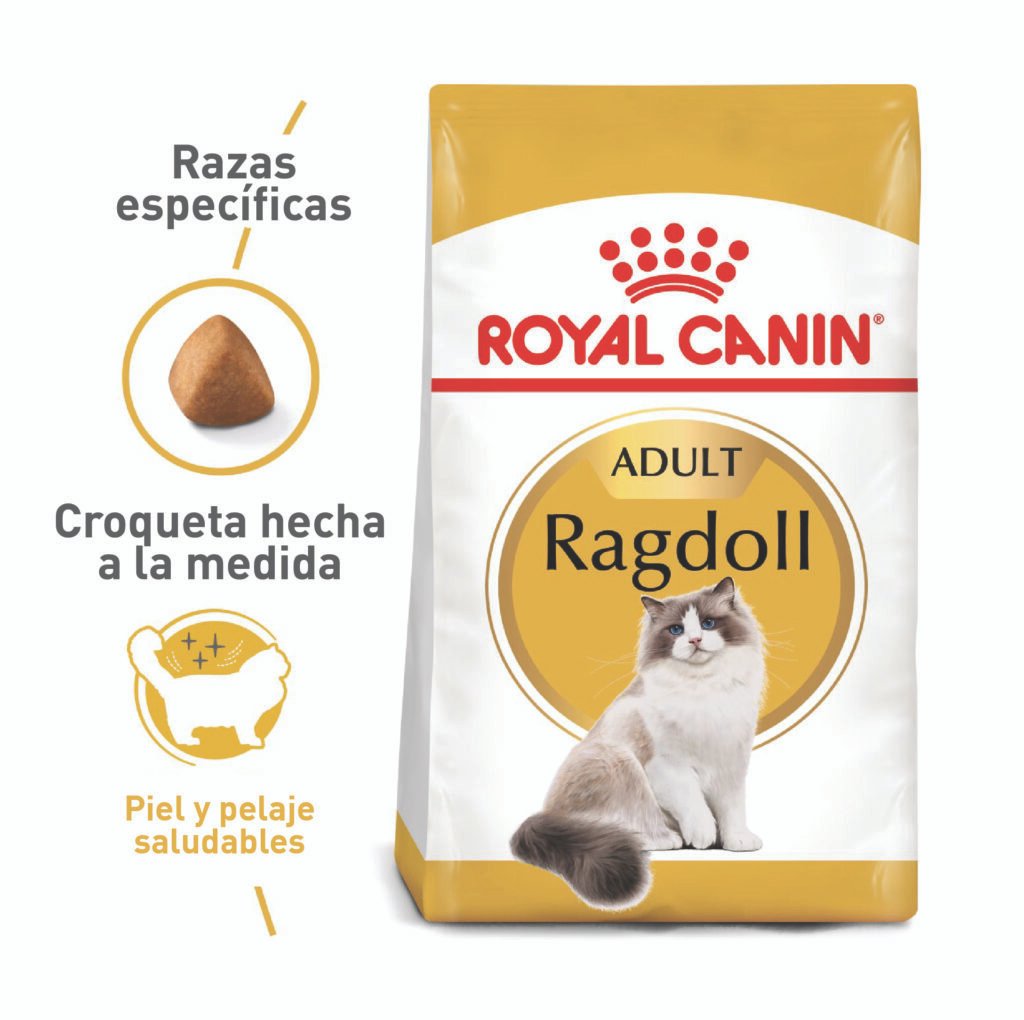 ROYAL CANIN GATO RAGDOLL 2KG