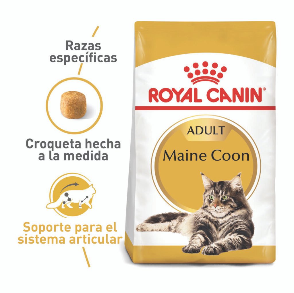 ROYAL CANIN GATO MAINE COON 2 KG
