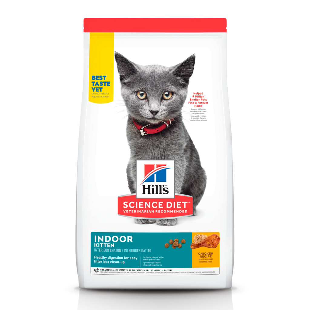 HILLS FELINO GATO KITTEN INDOOR