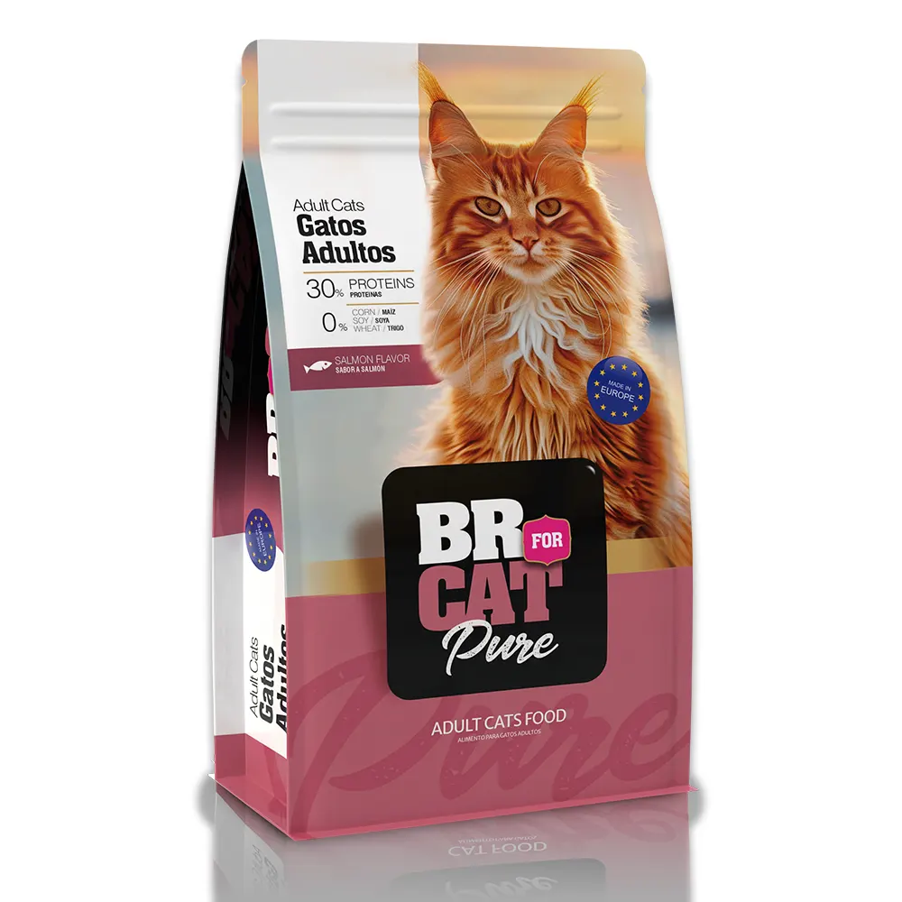Salmon-br alimento para gato adulto de salmon br for cat 1 und