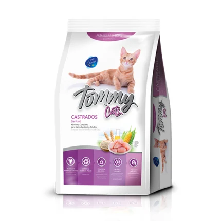 TOMMY CAT ADULTO CASTRADO
