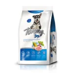 TOMMY DOG PERRO CACHORRO RAZA MEDIANA