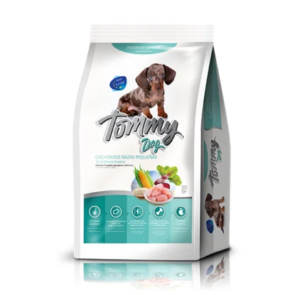 TOMMY DOG PERRO CACHORRO RAZA PEQUEÑA