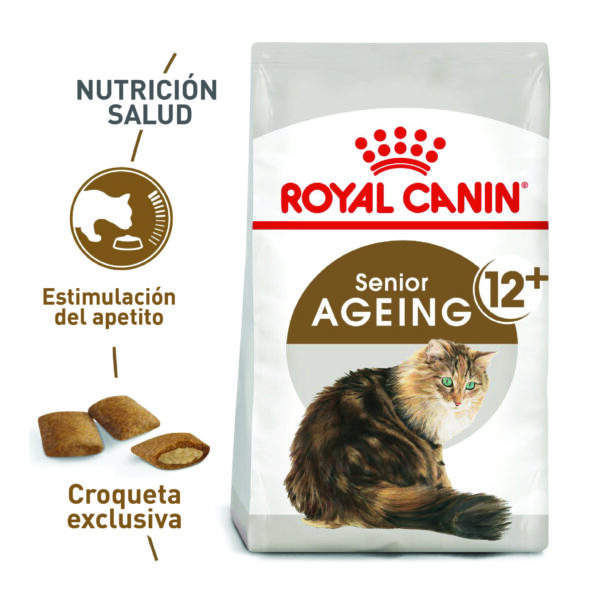 ROYAL CANIN GATO AGEING 12+  2 KG