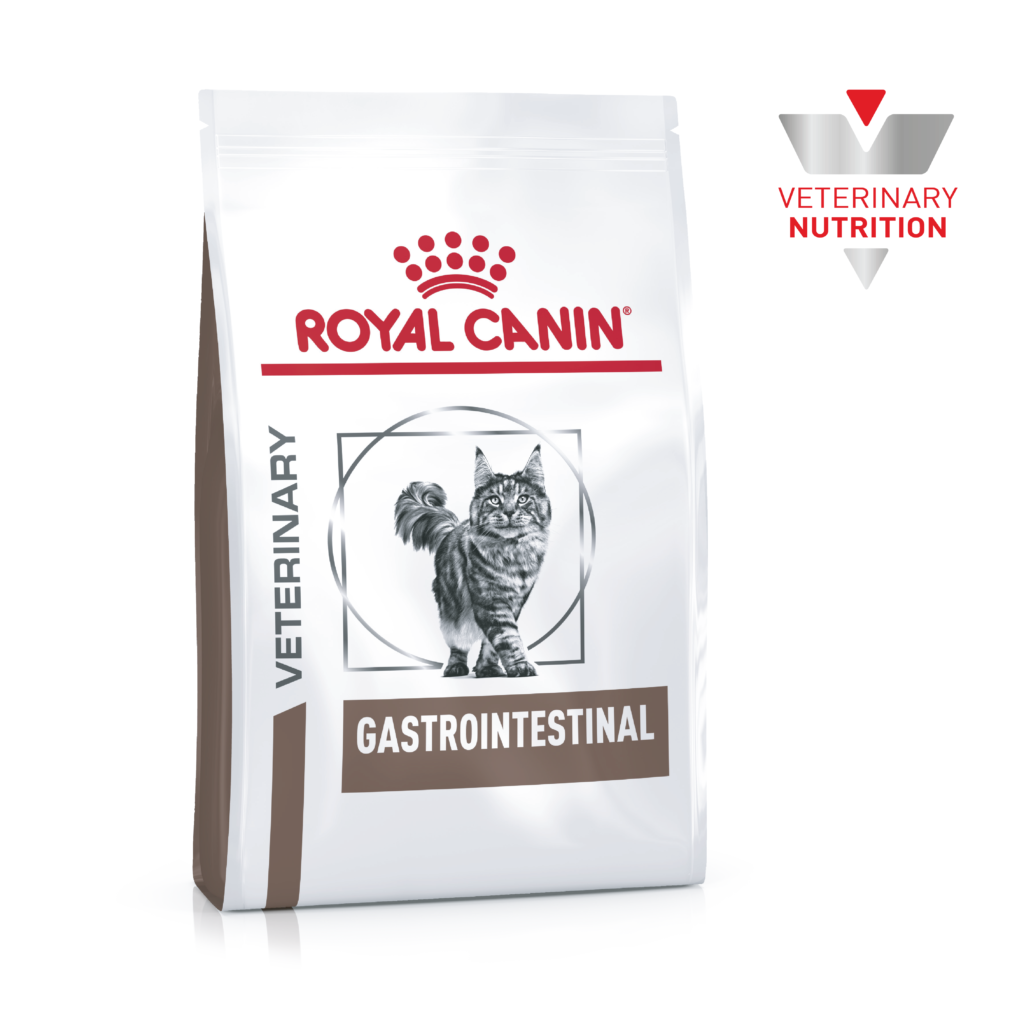ROYAL CANIN VET FELINO GASTRO 2 KG