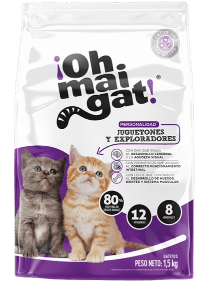 OH MAI GAT GATITOS JUGUETONES