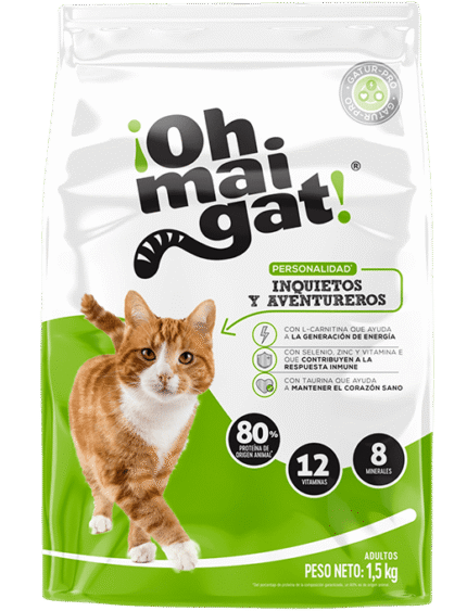 OH MAI GAT INQUIETOS