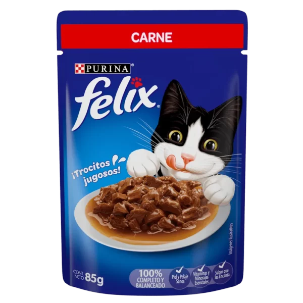 FELIX POUCH CARNE 85 GR