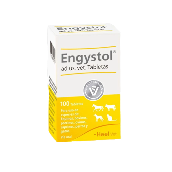 ENGYSTOL FRASCO 100 COMPRIMIDOS