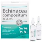 ECHINACEA COMPOSITUM