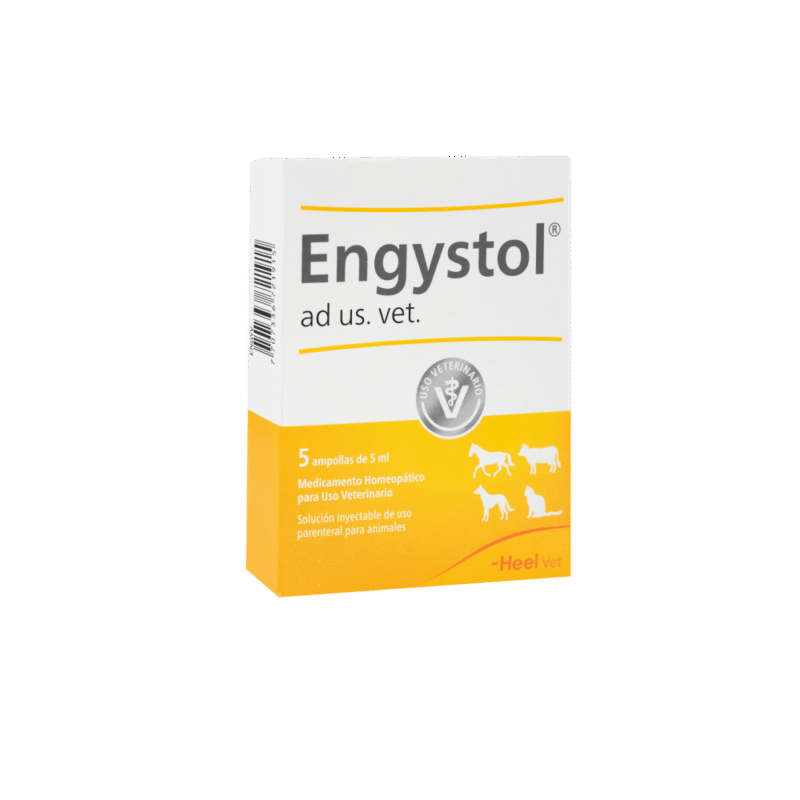 ENGYSTOL AMPOLLETA 1 UND