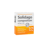 SOLIDAGO AMPOLLETA 1 UND