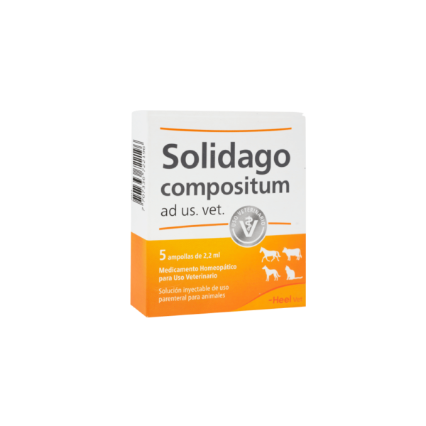 SOLIDAGO PET GOLD