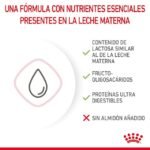 LACTOREEMPLAZADOR ROYAL CANIN BABYCAT - Imagen 2