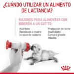 LACTOREEMPLAZADOR ROYAL CANIN BABYCAT - Imagen 3