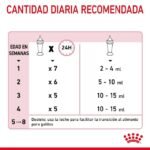 LACTOREEMPLAZADOR ROYAL CANIN BABYCAT - Imagen 4