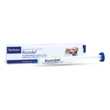 RONDEL