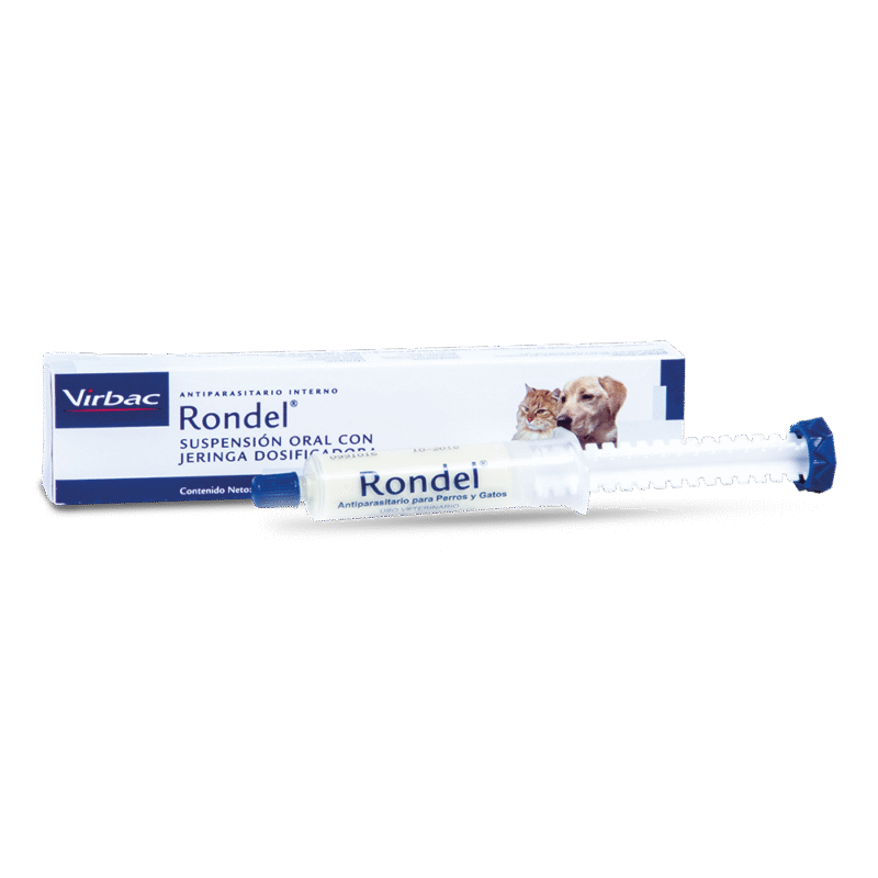 RONDEL