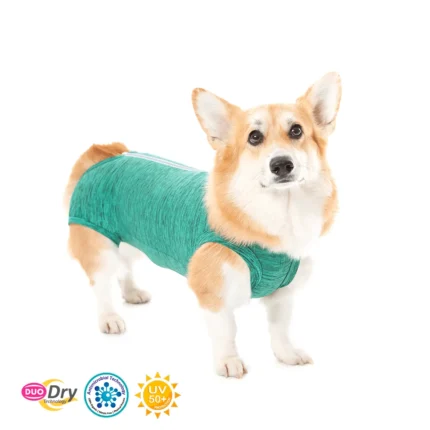 ROPA PROTECTORA Y POST- QUIRÚRGICA PARA PERRO DUO DRY TALLA 0