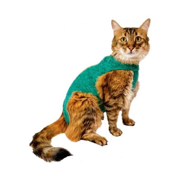 ROPA PROTECTORA Y POST- QUIRÚRGICA PARA GATO DUO DRY TALLA 00