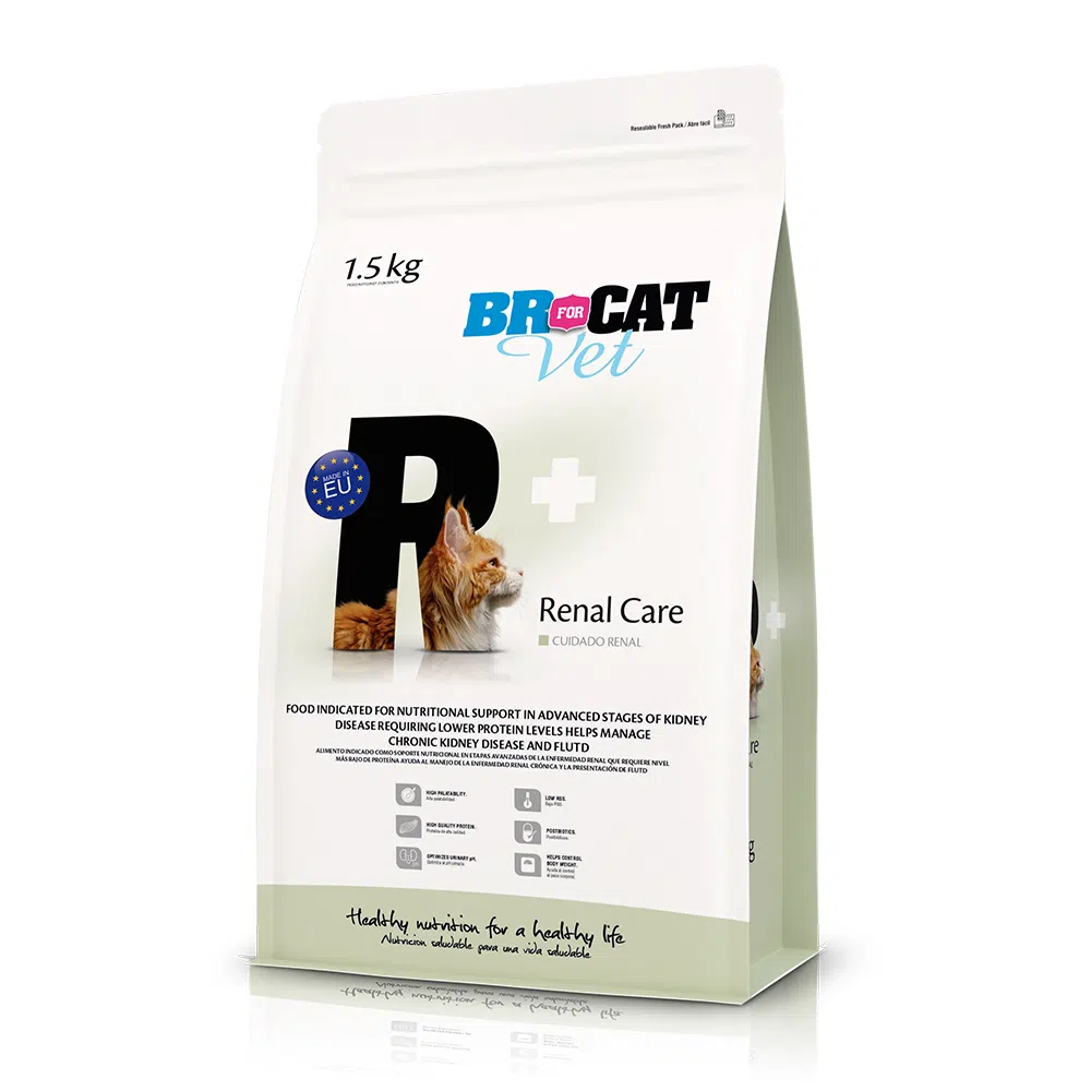 br for cat alimento para gato cuidado renal