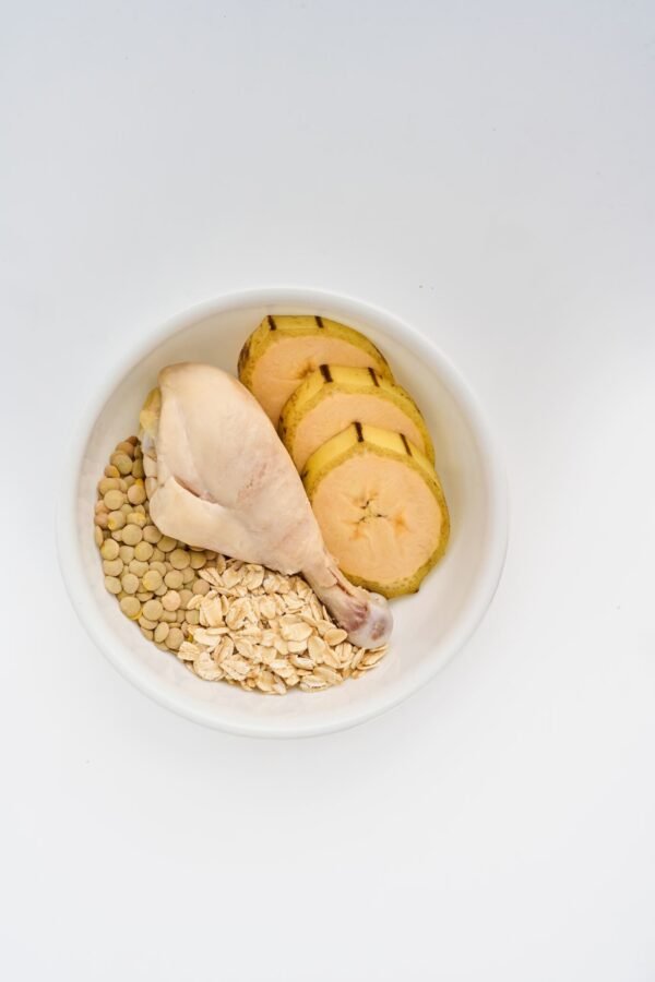 Delicioso Alimento cocido para perro vita K 500g