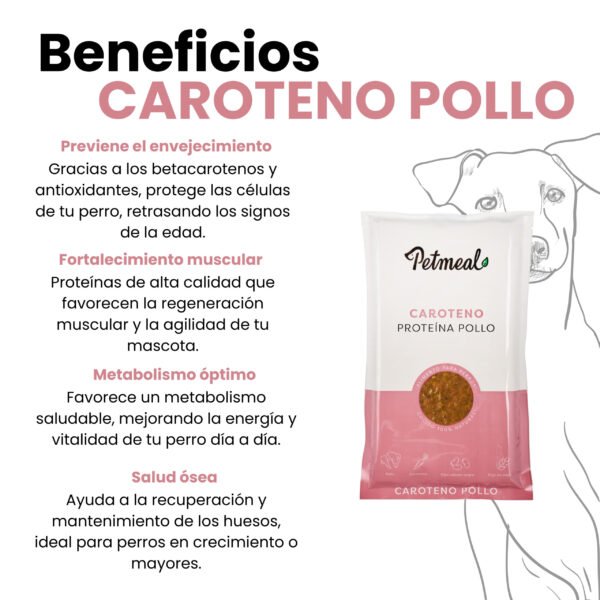alimento natural para perro sabor pollo 500g