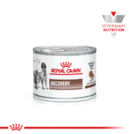 ROYAL CANIN VET LATA RECOVERY 145GR