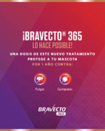 Bravecto 365 antipulgas y antigarrapatas