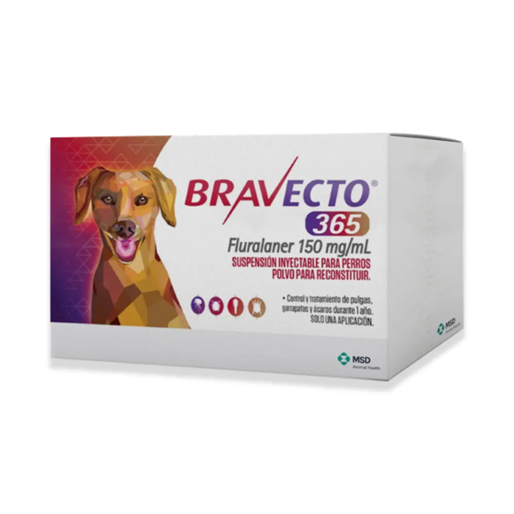 Pulgas y garrapatas en perros: cómo eliminarlas y prevenirlas fácilmente 2 Antiparasitario externo para perro Bravecto 365 antipulgas y antigarrapatas 1 dosis "inyección"