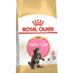 Alimento para gato cachorro Royal Canin Maine Coon Kitten