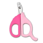 Calabaza pets carta uñas estilo tijera
