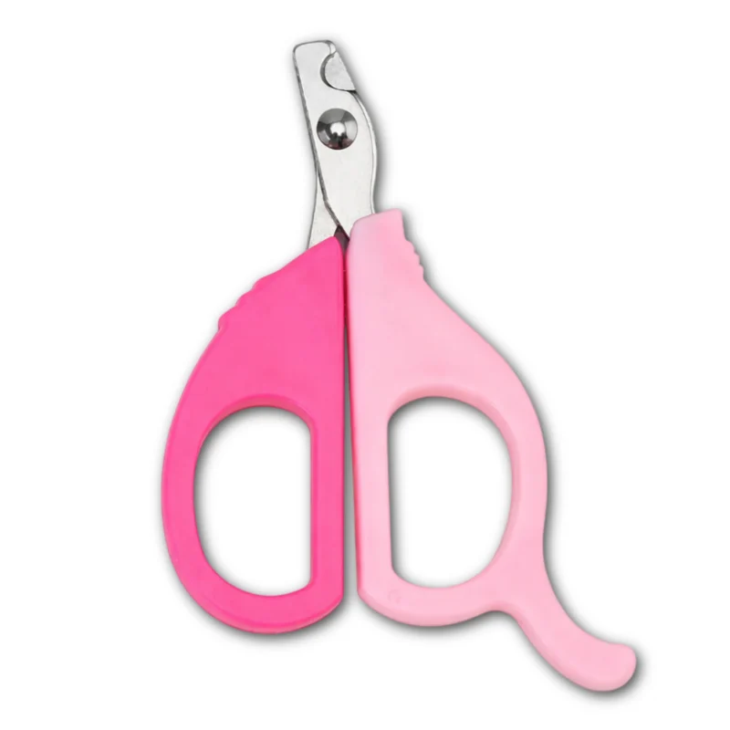 Calabaza pets carta uñas estilo tijera