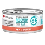 disugual diet recovery Salmon